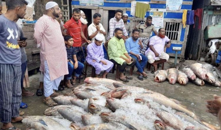 এক জালে ধরা পড়ল ২৬ লাখ টাকার মাছ